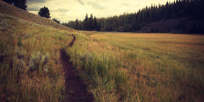 从蓝图到现实：BIM技术如何重塑环保工程EPC的数字化交付之路