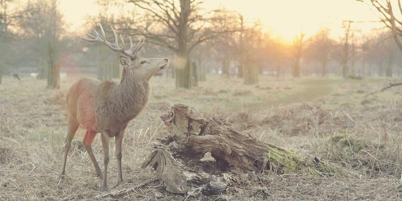 医疗废物高温蒸汽处理:揭秘钰冰环保如何实现高效灭菌与零二次污染