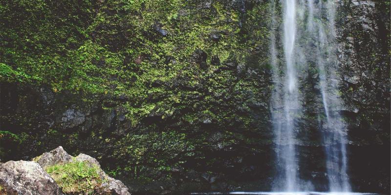 构筑未来城市之肺：城市垃圾分类处理系统环保工程设计五大核心要点